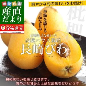 送料無料　長崎県より産地直送　JA長崎せいひ　高級ハウス栽培　長崎びわ　500g化粧箱　3LからLサイズ（8から12玉）　枇杷　