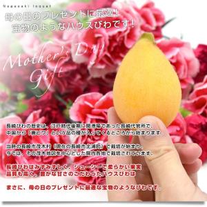 【遅れてごめんね 母の日ギフト】 長崎県より産...の詳細画像3