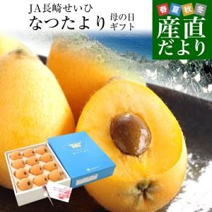 母の日ギフト 長崎県より産地直送 JA長崎せいひ 長崎びわ