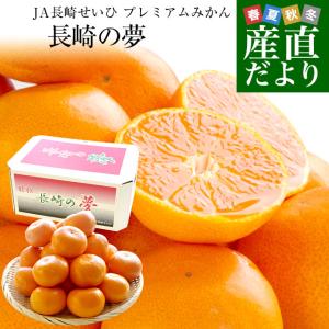 【お歳暮 ギフト】長崎県より産地直送 JA長崎せいひ プレミアムみかん 長崎の夢 約2.5キロ（24玉から30玉前後）送料無料 蜜柑 みかん
