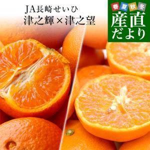 長崎県より産地直送 JA長崎せいひ 津之輝（つのかがやき）×津之望(つののぞみ) 優品 2.5キロ×2箱セット 柑橘 オレンジ 津の輝 津の望 西彼 伊木力 大西海｜sanchokudayori