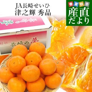 長崎県より産地直送 JA長崎せいひ 津之輝(つのかがやき) 3LからLサイズ 秀品 2.5キロ (10玉から25玉) 送料無料 柑橘 オレンジ 津の輝 西彼 伊木力 大西海｜sanchokudayori