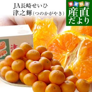 長崎県より産地直送 JA長崎せいひ 津之輝(つのかがやき) 3LからLサイズ 優品 5キロ (30玉から48玉) 送料無料 柑橘 オレンジ 津の輝 西彼 伊木力 大西海