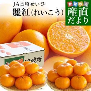 長崎県より産地直送 JA長崎せいひ 麗紅 (れいこう) 3LからLサイズ 優品以上 5キロ (20玉から30玉) 送料無料 柑橘 オレンジ れいこうかん 麗紅柑 西彼｜sanchokudayori