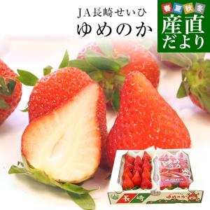 長崎県より産地直送 JA長崎せいひ 期待の新品種いちご ゆめのか 1箱 約500g (250g×2パック 入り) 合計18粒から30粒入り 送料無料　苺 イチゴ｜sanchokudayori