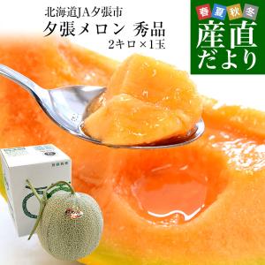 茨城県産 JA茨城旭村 クインシーメロン A品 約5キロ (3玉から4玉) 4L