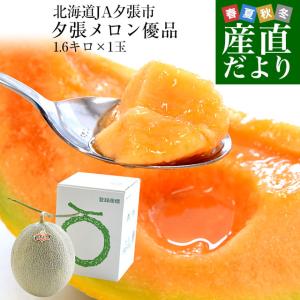北海道より産地直送 JA夕張市 夕張メロン 秀品 1玉(1.6キロ×1玉) 送料