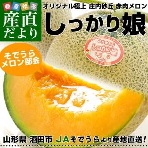 山形県より産地直送 JAそでうら 庄内砂丘メロン 「しっかり娘（赤肉）」 3L 大玉2玉（1.5キロ×2玉）送料無料 メロン めろん