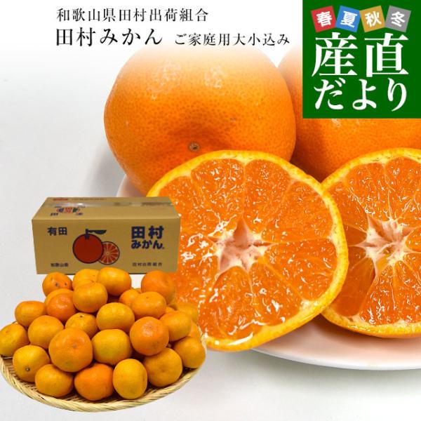 和歌山県より産地直送 田村出荷組合 田村みかん（早生温州みかん） ご家庭用5キロ（大小込み） 送料無...