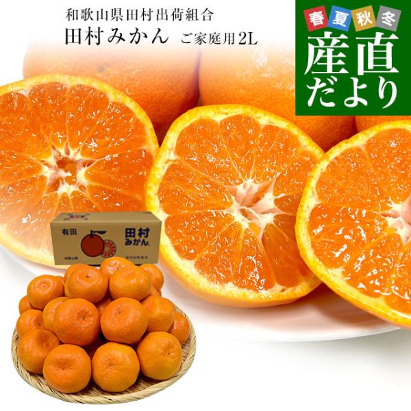 和歌山県より産地直送 田村出荷組合 田村みかん（早生温州みかん） ご家庭用 ２Lサイズ　5キロ(30...