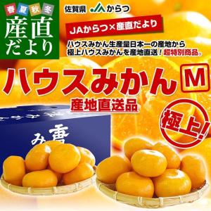 佐賀県より産地直送 JAからつ ハウスみかん Mサイズ 約2...