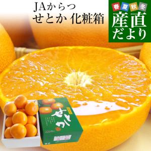 佐賀県より産地直送 JAからつ せとか 秀品 2.5キロ 化粧箱入(12から15玉) 送料無料 唐津｜sanchokudayori