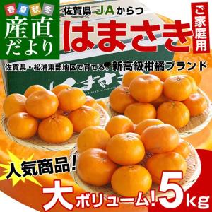 送料無料　佐賀県より産地直送　JAからつ　はまさき　訳あり　5キロ（20から40玉）柑橘　かんきつ