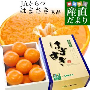 佐賀県より産地直送 JAからつ はまさき 秀品 LからSサイズ 約2.5キロ (12から18玉前後) 送料無料 唐津 浜崎｜sanchokudayori