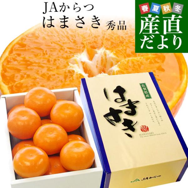 佐賀県産JAからつ はまさき 秀品 LからSサイズ 約2.5キロ (12玉から18玉前後) 送料無料...