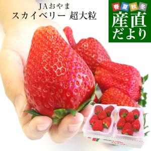 栃木県より産地直送 JAおやま スカイベリー 超大粒 280g×2P