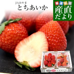 栃木県より産地直送 JAおやま 大粒 とちあいか 1箱 約540ｇ (270ｇ×2パック) 合計10粒から14粒 送料無料 いちご イチゴ 苺 クール便｜sanchokudayori