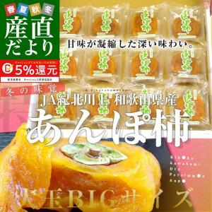 和歌山県から産地直送 JA紀北かわかみ あんぽ柿 大玉サイズ 70g×12袋 送料無料 干し柿 ホシガキ アンポ