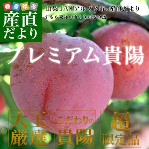 山梨県より産地直送　JA南アルプス市　プレミアム貴陽　大玉のみ厳選　超限定品　3Lから4L　約1.8キロ（6玉から7玉）