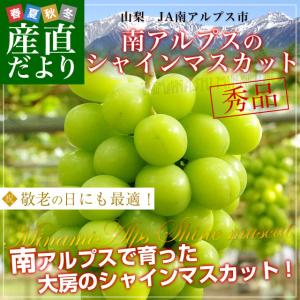 敬老の日にも最適 山梨県より産地直送 JA南アルプス市 シャインマスカット 秀品 1.2キロ (大房2房) 葡萄 送料無料 ぶどう ブドウ