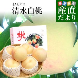 和歌山県より産地直送 JA紀の里 あら川の桃 清水白桃 赤秀品 1.8キロ (6玉から8玉) 送料無料 桃 もも