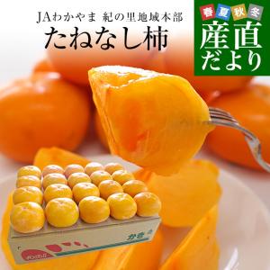 和歌山県より産地直送 JA紀の里 たねなし柿 2LからMサイズ 3.75キロ(16玉から20玉) 送料無料 カキ かき 柿｜sanchokudayori