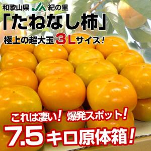送料無料　和歌山産　JA紀の里　たねなし柿　極上の超大玉　3L　7.5キロ　28玉 かき　カキ