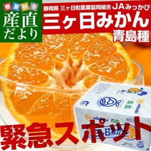 送料無料　静岡県産　JAみっかび 　三ケ日みかん　（青島種）　3Lサイズ以上　8キロ原体箱 ミカン　蜜柑　市場スポット