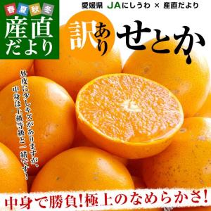送料無料 愛媛県産 JAにしうわ 訳ありせとか 5キロ 2LからMサイズ(20から30玉前後)市場スポット