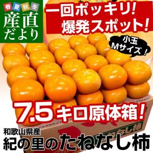 送料無料　和歌山産　JA紀の里 たねなし柿　小玉Mサイズ 7.5キロ 40玉