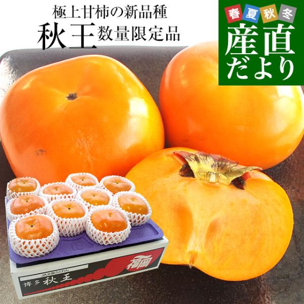 福岡県産 極上甘柿の新品種 秋王(あきおう) 約3.5キロ(8玉から12玉) 送料無料 柿 カキ 市...