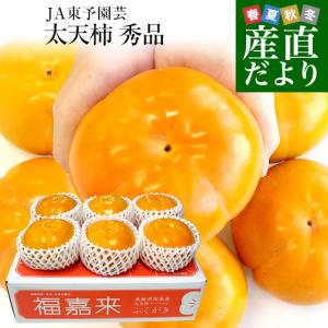 愛媛県周桑産 JA東予園芸 太天柿 秀品 3.5キロ(5玉から8玉) 送料無料  たいてんがき かき 市場スポット