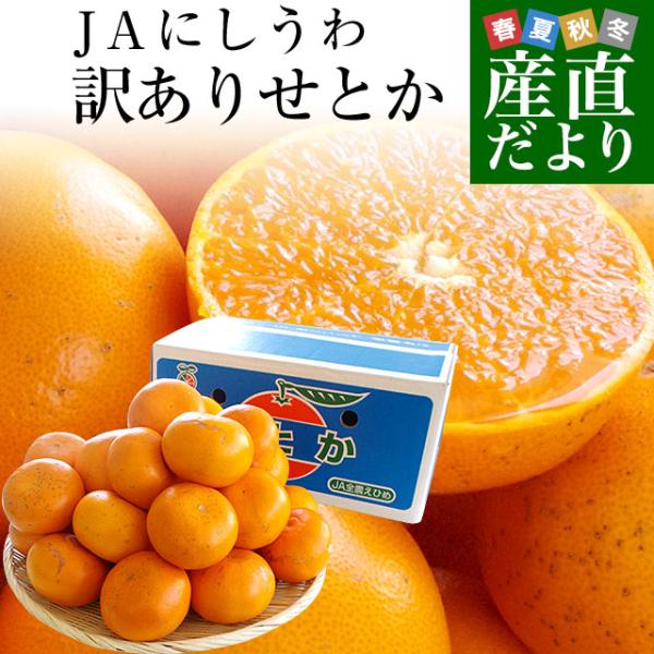 愛媛県産 JAにしうわ 訳ありせとか 5キロ 3LからMサイズ（16玉から30玉前後） 送料無料 市...