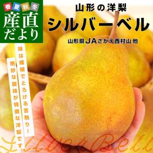 山形県産 JAさがえ西村山他 洋梨シルバーベル 秀 5キロ (9玉から14玉) 送料無料 洋梨　ようなし