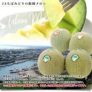 千葉県産 JAちばみどり飯岡メロン部会 タカミ...の詳細画像3