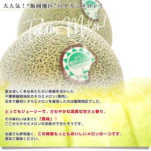 千葉県産 JAちばみどり飯岡メロン部会 タカミ...の詳細画像4