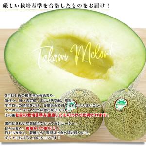 千葉県産 JAちばみどり飯岡メロン部会 タカミ...の詳細画像5
