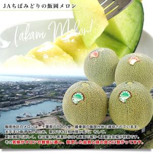千葉県産 JAちばみどり飯岡メロン部会 タカミ...の詳細画像3