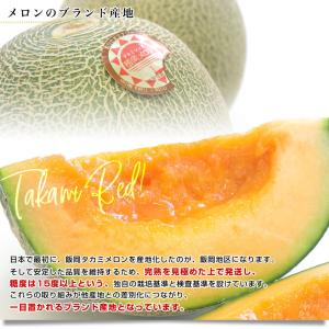 千葉県産 JAちばみどり飯岡メロン部会 タカミ...の詳細画像4