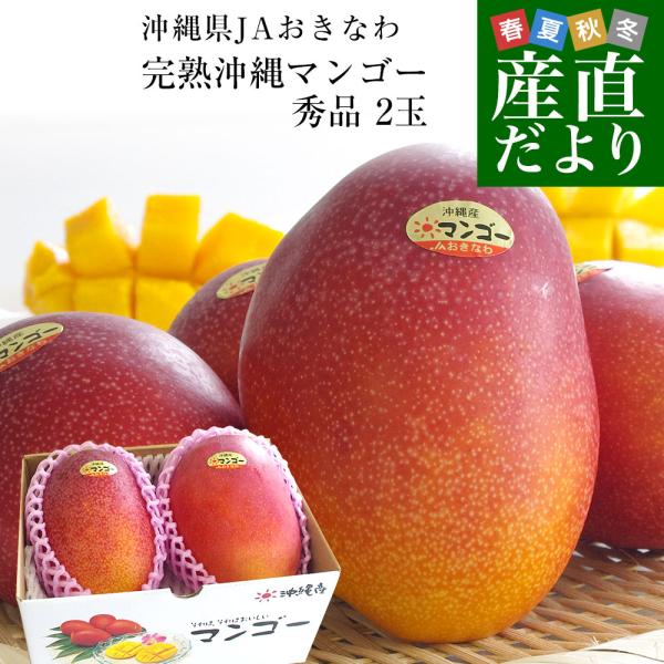 沖縄県より産地直送 JAおきなわ 完熟沖縄マンゴー 秀品 2Lサイズ×2玉 合計700g (約350...
