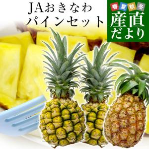 沖縄県より産地直送 JAおきなわ 石垣島産 パインセット (ピーチパイン1玉、ボゴールパイン2玉)合計1.8キロ前後 (600g×3玉) 送料無料 沖縄パイン パイナップル