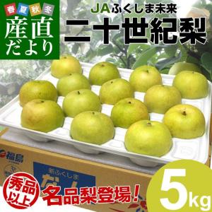 福島県より産地直送 JAふくしま未来 二十世紀梨 秀品 約5キロ (12玉から16玉) 梨 なし送料無料 20世紀なし