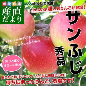 福島県より産地直送 JAふくしま未来「サンふじりんご」秀品 約2.8キロ(8玉から10玉) ×2箱　送料無料 林檎 リンゴ｜sanchokudayori