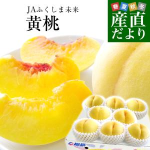 福島県より産地直送 JAふくしま未来 ミスピーチ...の商品画像