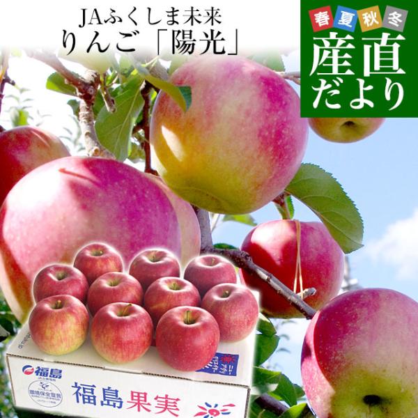福島県より産地直送 JAふくしま未来「陽光」秀品以上 約2.8キロ(8玉から10玉) りんご 林檎 ...