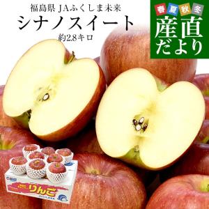 福島県より産地直送 JAふくしま未来「シナノスイート」秀品以上 約2.8キロ(8玉から10玉) 送料無料 林檎 リンゴ りんご