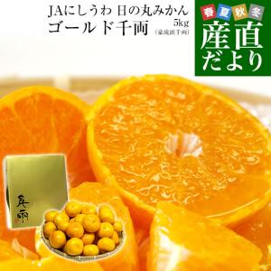 愛媛県産 JAにしうわ 日の丸プレミアムみかん ゴールド千両（豪琉頭千両）LからMサイズ5キロ（40玉から50玉前後）送料無料 蜜柑ミカン