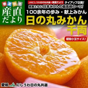 送料無料 愛媛県より産地直送 JAにしうわ 日の丸みかん 千両 極旨小玉サイズ 5キロ（60玉から80玉） 蜜柑 お歳暮 御歳暮