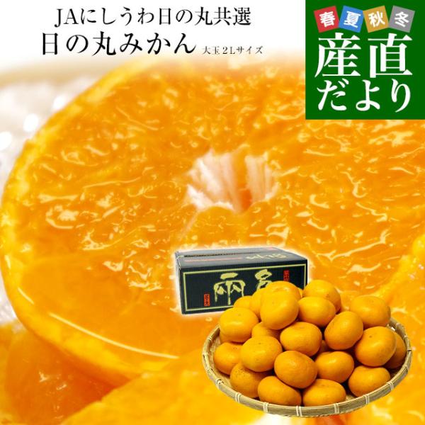 【お歳暮 ギフト】愛媛県より産地直送 JAにしうわ 日の丸みかん 千両 2Lサイズ 約5キロ(35玉...