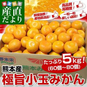 お一人様2箱まで！送料無料　熊本県より産地直送　JA熊本市　夢未来　極旨小玉みかん　5キロ（60個から80個） ミカン　蜜柑　みかん 5kg